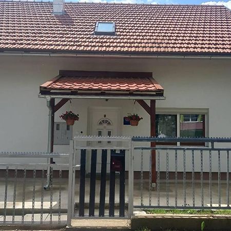 Keti Apartment Plaski Bagian luar foto